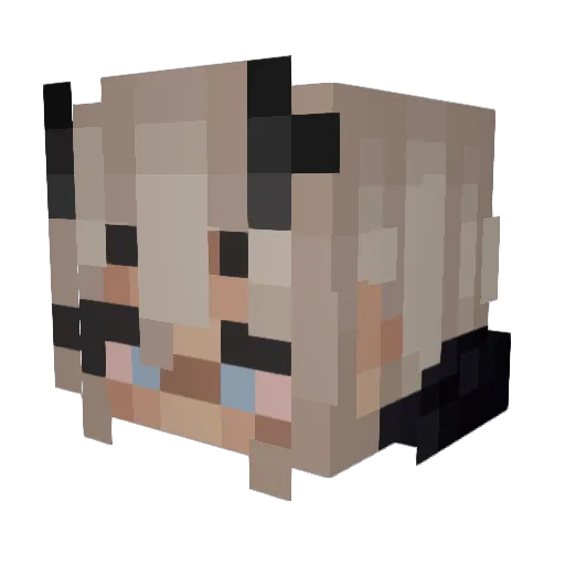 Darius_DGR Minecraft avatar head, 3D render