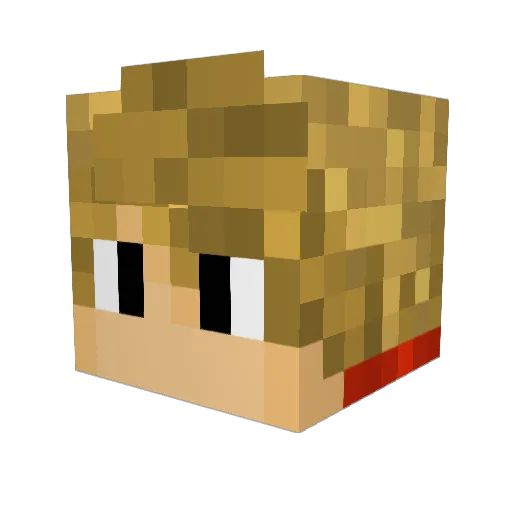 Dariuslambo1 Minecraft avatar head, 3D render