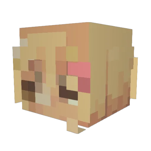 Darivxe Minecraft avatar head, 3D render