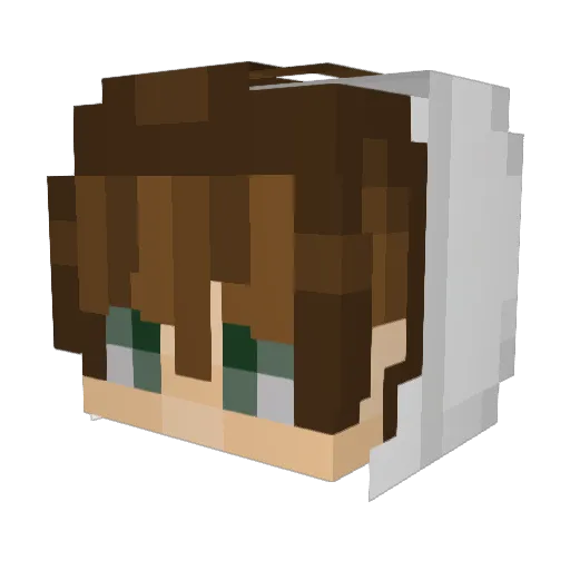 Dark0805Gamer Minecraft avatar head, 3D render