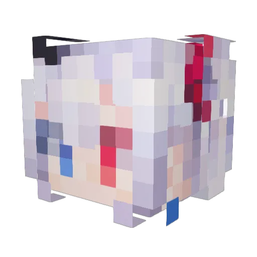 Dark1nfinity Minecraft avatar head, 3D render