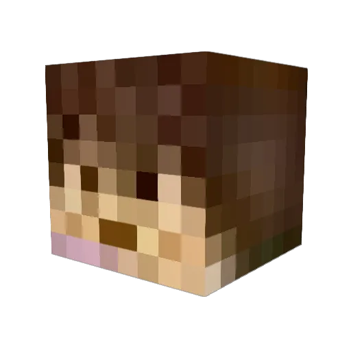 Dark3121 Minecraft avatar head, 3D render