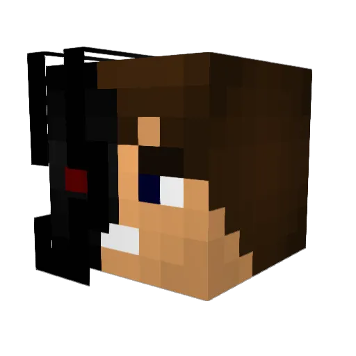 DarkAdminFTW Minecraft avatar head, 3D render