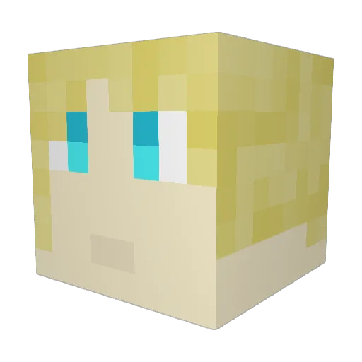 DarkAether007 Minecraft avatar head, 3D render
