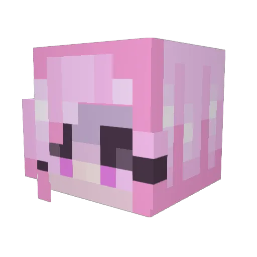 DarkAllice Minecraft avatar head, 3D render