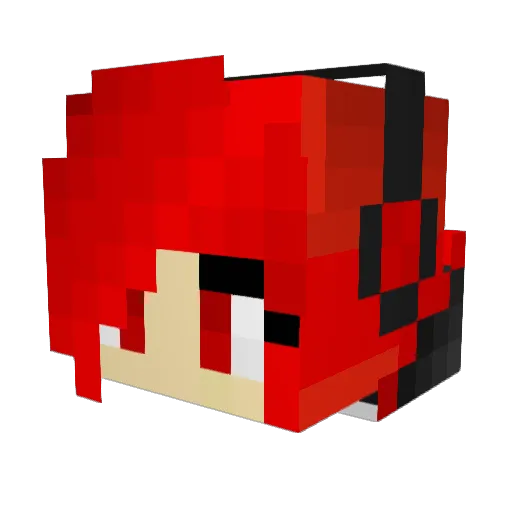 DarkAng3lWo1f565 Minecraft avatar head, 3D render