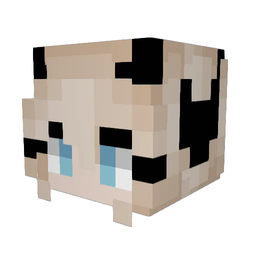DarkAngelXVII Minecraft avatar head, 3D render
