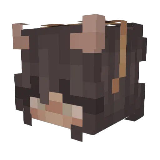 DarkBeauty Minecraft avatar head, 3D render