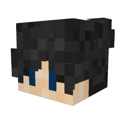 DarkBlack189 Minecraft avatar head, 3D render