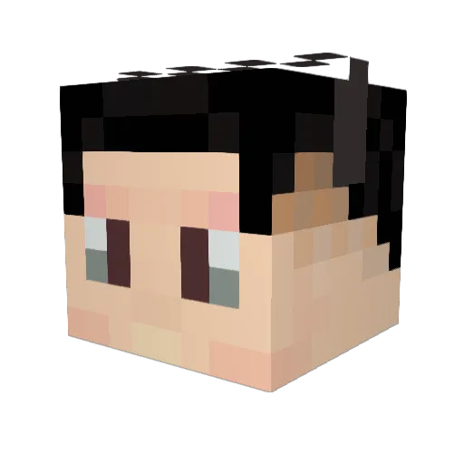 DarkBlad69 Minecraft avatar head, 3D render