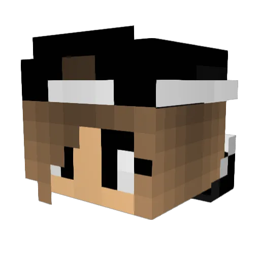 DarkBloodPVP Minecraft avatar head, 3D render