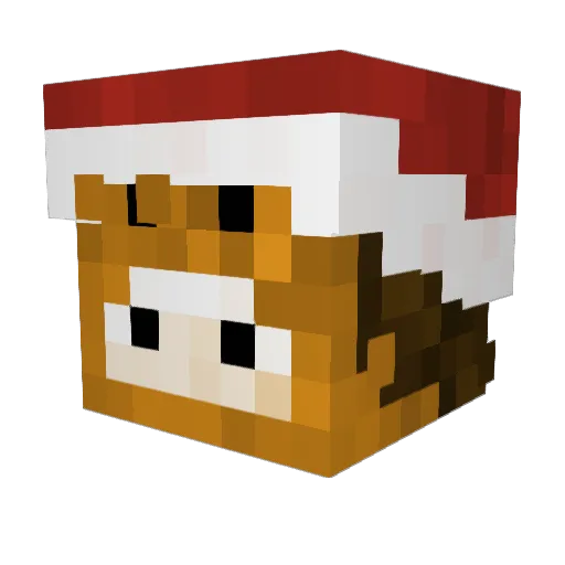 DarkBlueFrog Minecraft avatar head, 3D render