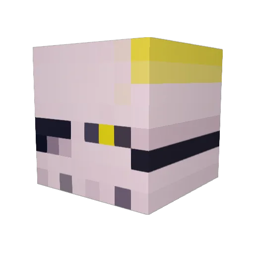 DarkBonez Minecraft avatar head, 3D render