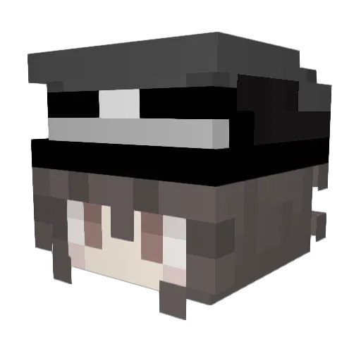 DarkBright1453 Minecraft avatar head, 3D render