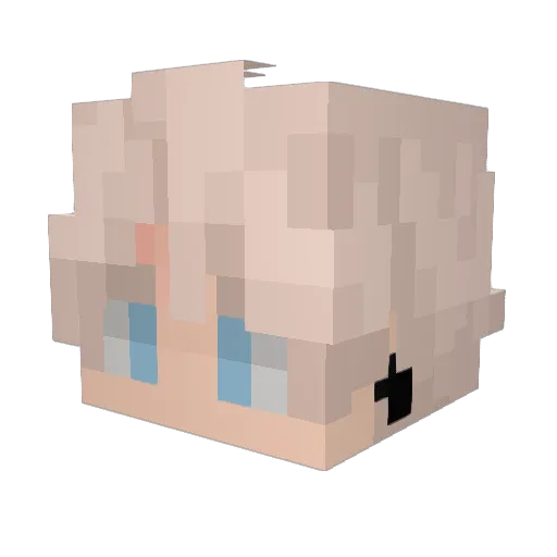 DarkBulba Minecraft avatar head, 3D render