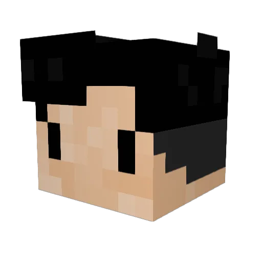 DarkBzzz7 Minecraft avatar head, 3D render
