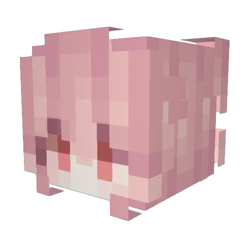 DarkCatSleep Minecraft avatar head, 3D render