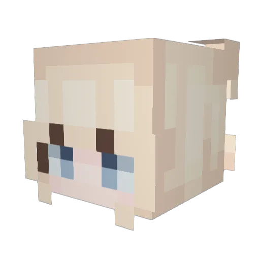 DarkCatt2 Minecraft avatar head, 3D render