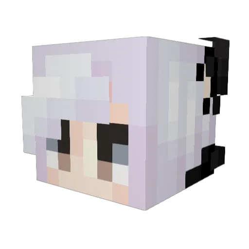 DarkChemical Minecraft avatar head, 3D render