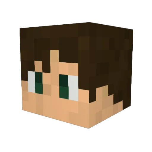 DarkChocolate250 Minecraft avatar head, 3D render