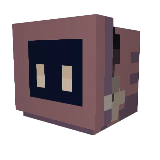 DarkCipher0 Minecraft avatar head, 3D render