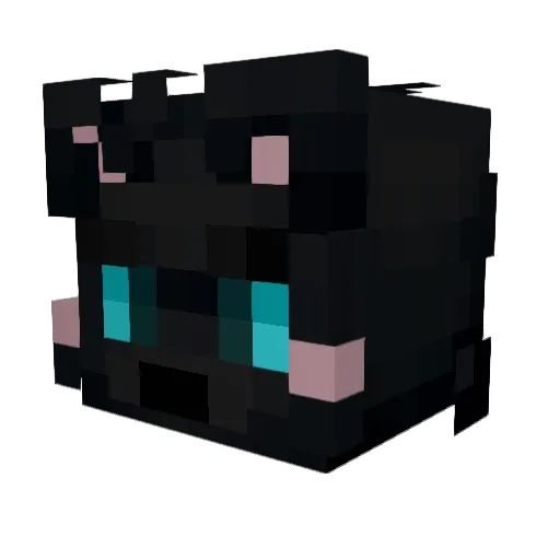 DarkConn0r Minecraft avatar head, 3D render