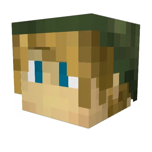 DarkDeath7611 Minecraft avatar head, 3D render