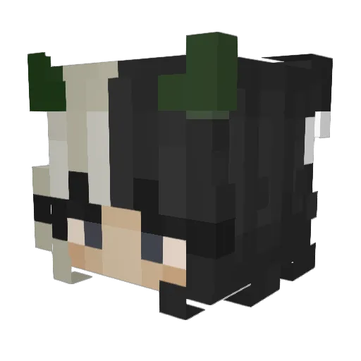 DarkDragonJB Minecraft avatar head, 3D render