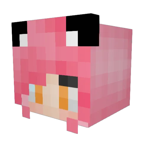 DarkEevel Minecraft avatar head, 3D render