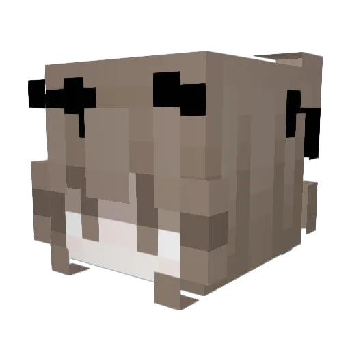 DarkEnderLorde Minecraft avatar head, 3D render