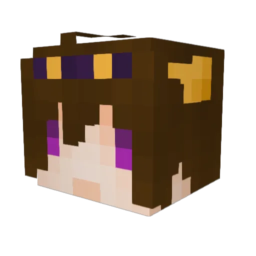 DarkFR Minecraft avatar head, 3D render