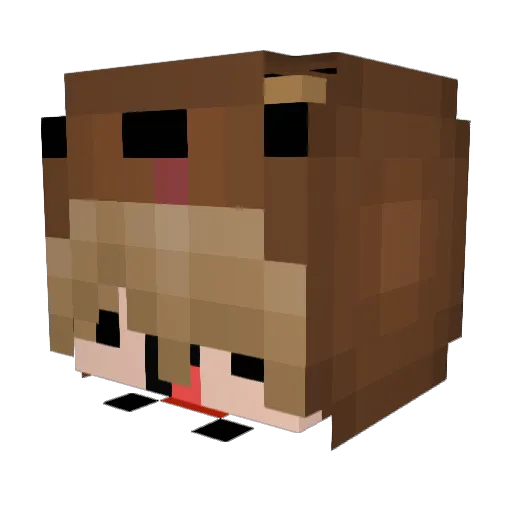DarkFaill Minecraft avatar head, 3D render