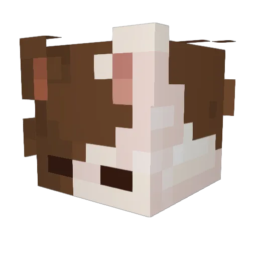DarkFidjix Minecraft avatar head, 3D render