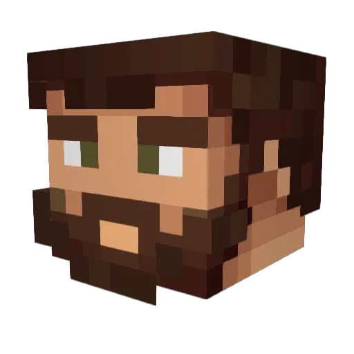 DarkFire2406 Minecraft avatar head, 3D render