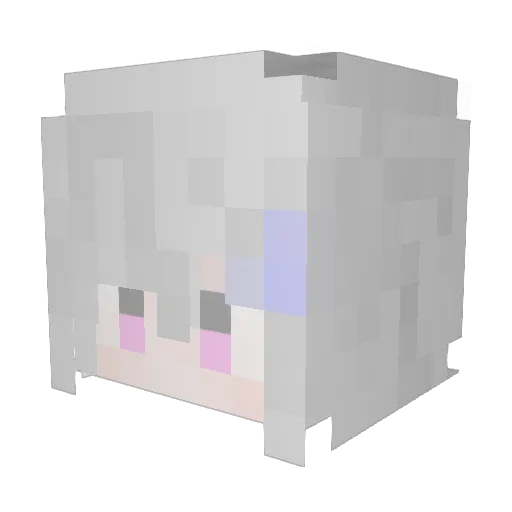 DarkForest2233 Minecraft avatar head, 3D render