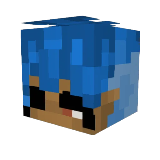 DarkFox1190 Minecraft avatar head, 3D render