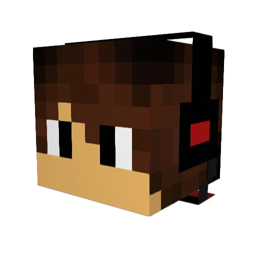 DarkFox505 Minecraft avatar head, 3D render