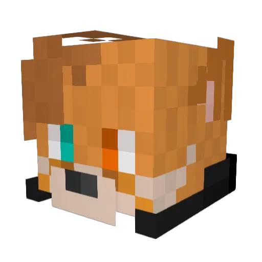 DarkFoxEO Minecraft avatar head, 3D render