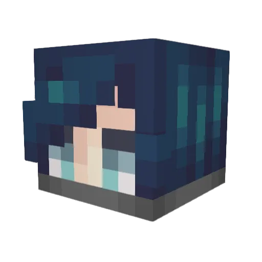 DarkFoxPluto Minecraft avatar head, 3D render