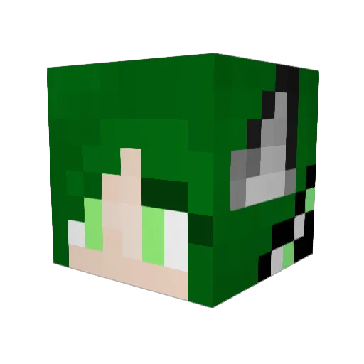 DarkFoxeh Minecraft avatar head, 3D render