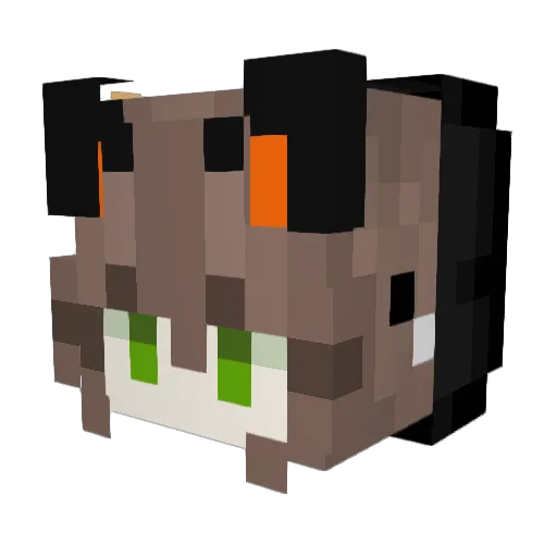 DarkFoxis Minecraft avatar head, 3D render