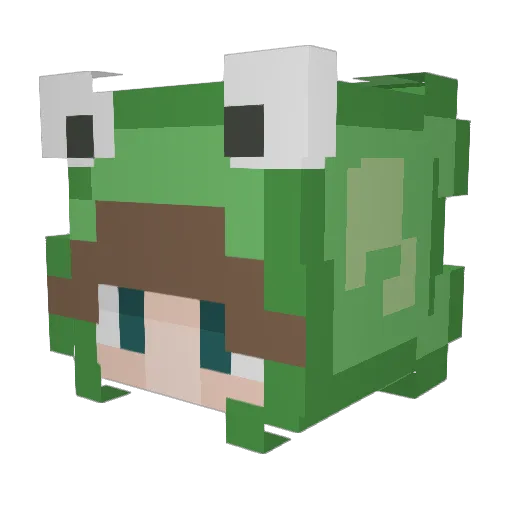 DarkFrog8 Minecraft avatar head, 3D render
