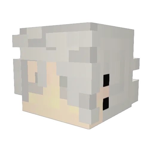 DarkGhostLT Minecraft avatar head, 3D render