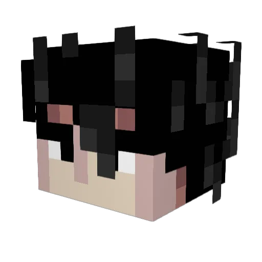 DarkGua100 Minecraft avatar head, 3D render