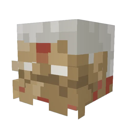 DarkHellrhan62 Minecraft avatar head, 3D render