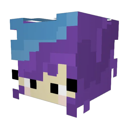 DarkHunter5000 Minecraft avatar head, 3D render