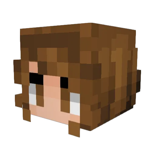 DarkHyper5713 Minecraft avatar head, 3D render