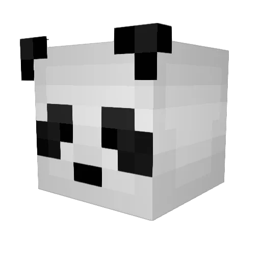 DarkIcy64 Minecraft avatar head, 3D render