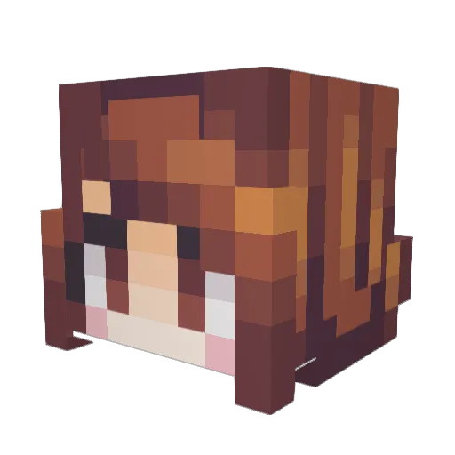 DarkK8 Minecraft avatar head, 3D render