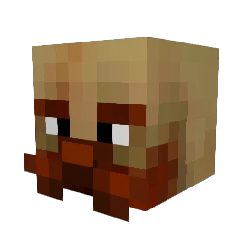DarkKid834 Minecraft avatar head, 3D render